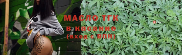молекула духа Надым