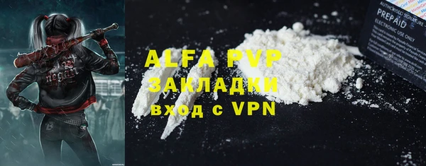 молекула духа Надым