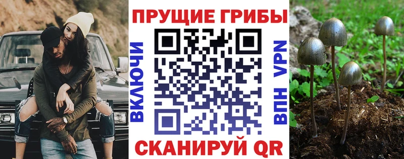 Галлюциногенные грибы MAGIC MUSHROOMS  Унеча 