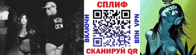 где найти   Унеча  Бошки Шишки планчик 